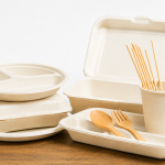 Finti riutilizzabili addio? Cosa cambia per piatti e posate in plastica con la Legge 50/2026